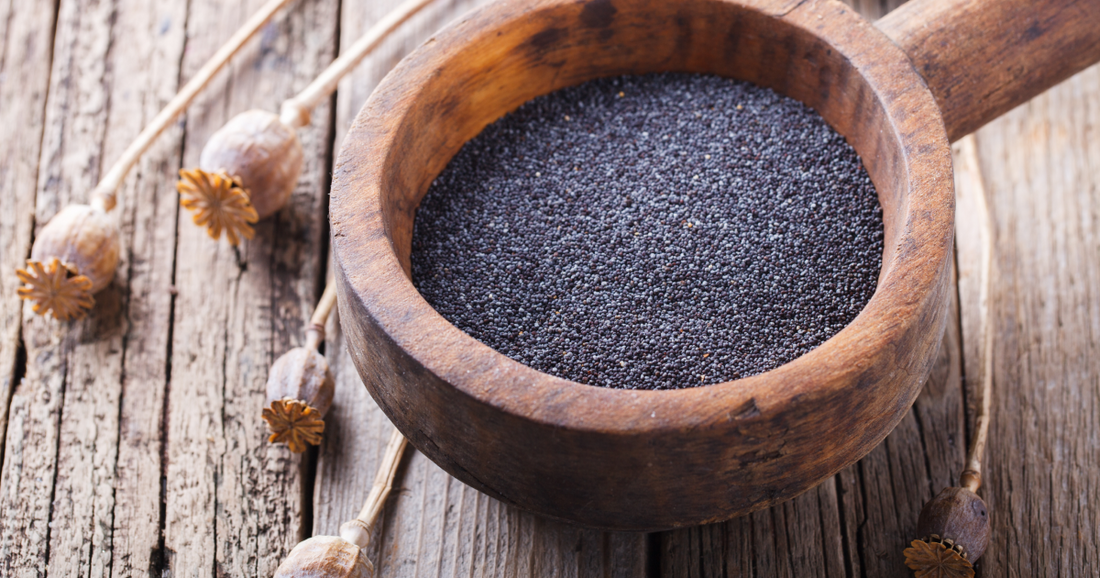 Poppy Seed Oil – The Gentle Nourishment Your Skin Deserves