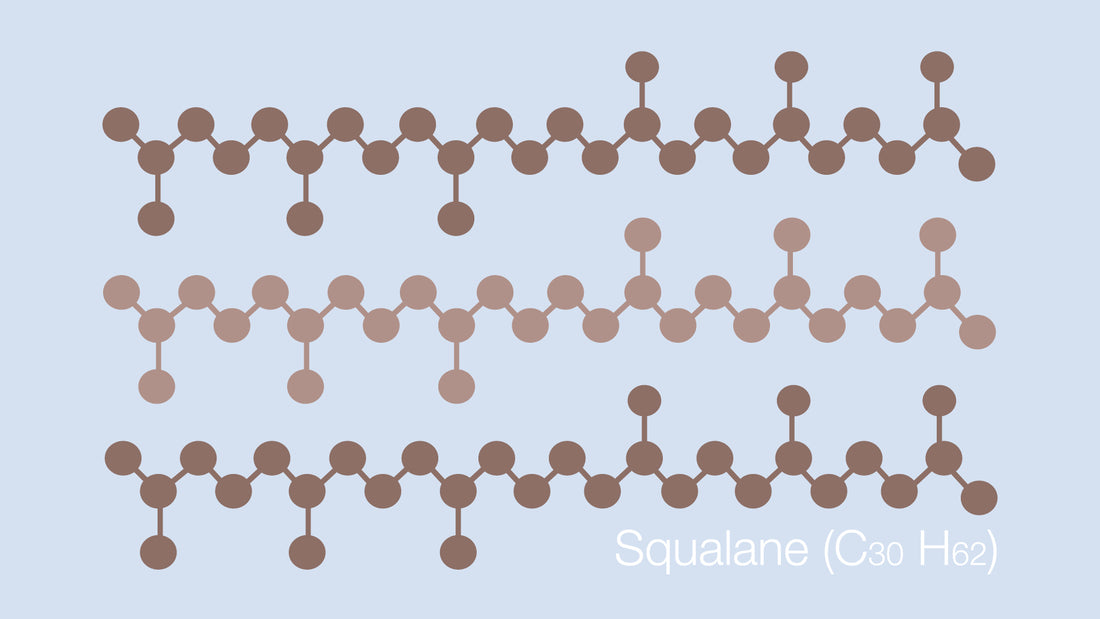 Squalane, the chemical structure in an illustrated drawing style.