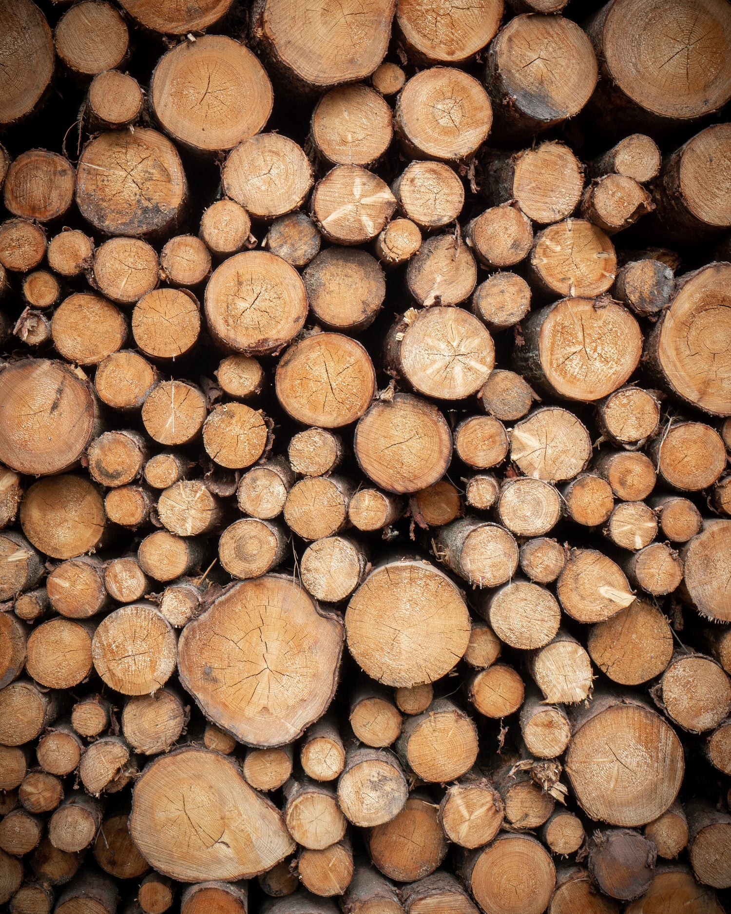 Stack Of Logs